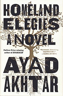 <i>Homeland Elegies</i> 2020 novel by Ayad Akhtar