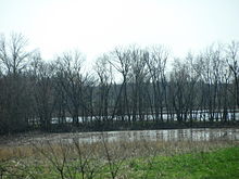 The South Fork of Saline River periodic flooding is the reason for the 19th century name Pond Settlement, later changed to Lakeview. For similar reasons, Harrisburg was named Crusoe's Island prior to 1850. The area remains flood-prone today.
