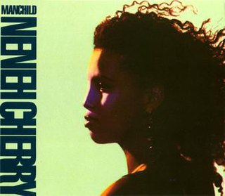 <span class="mw-page-title-main">Manchild (song)</span> 1989 single by Neneh Cherry