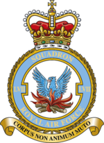 Squadron badge