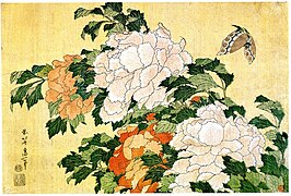 Peonies and Butterfly (牡丹に蝶 Botan ni chō)