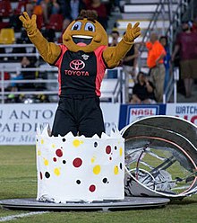 Sting is unveiled to fans and supporters SAScorpions Sting.jpg