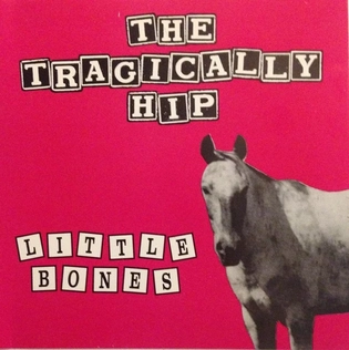 File:The Tragically Hip Little Bones.webp