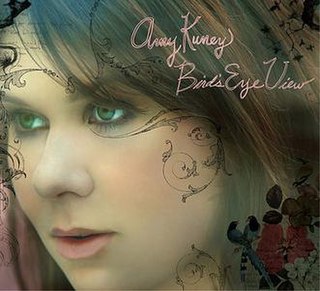 <i>Birds Eye View</i> (album) 2008 studio album by Amy Kuney