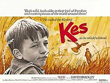 Kes 1969 film plakat.jpg