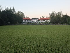 Mariano Marcos State University Batac main building with rice paddy