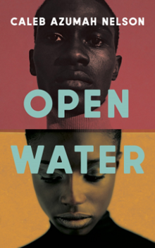 Open Water (novel).png