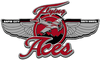 Logo Rapid City Flying Aces