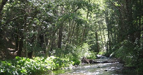 Cow Creek (Sacramento River tributary)