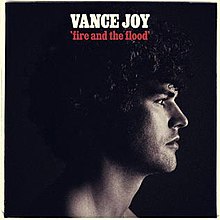 Fire and the Flood by Vance Joy cover.jpg