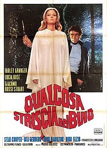 Qualcosa-striscia-nel-buio-italyan-film-afishasi-md.jpg