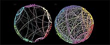 Simplified visualization of the persistence homological brain function scaffolds from placebo on the left and that induced through psilocybin on the right Simplified visualization of the persistence homological scaffolds.jpg