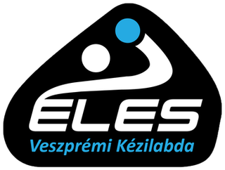 <span class="mw-page-title-main">Veszprém KKFT Felsőörs</span> Hungarian handball club