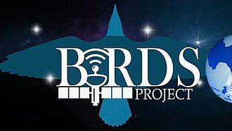 Birds project logo Birds Cubesat Logo.jpg