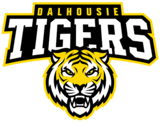 <span class="mw-page-title-main">Dalhousie Tigers</span> Sports teams of Dalhousie University in Halifax