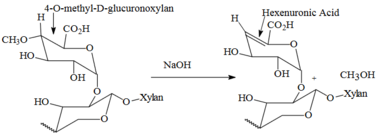 Break down of 4-O-methyl-D-glucuronoxylan into HexA Dehydration of 4-O-methyl-D-glucuronoxylan.png