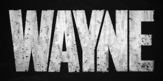 <i>Wayne</i> (TV series) 2019 American action comedy television series