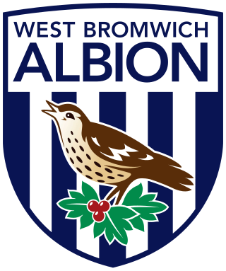 <span class="mw-page-title-main">West Bromwich Albion F.C.</span> Association football club in England