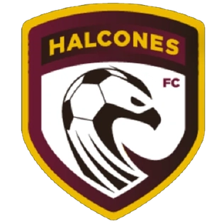 <span class="mw-page-title-main">Halcones de Querétaro</span> Football club