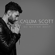 بدون اهمیت چیست توسط Calum Scott.jpg