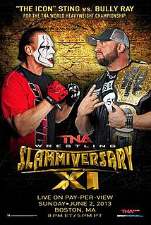 <span class="mw-page-title-main">Slammiversary XI</span> 2013 Total Nonstop Action Wrestling pay-per-view event