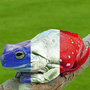 Thumbnail for File:French Frog.png