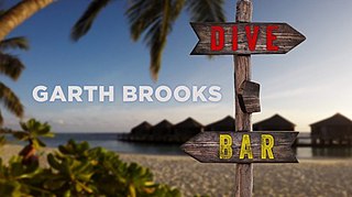 <span class="mw-page-title-main">Dive Bar Tour (Garth Brooks)</span> 2019–21 concert tour by Garth Brooks