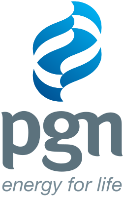 File:PGN logo.svg