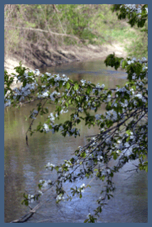 Ottawa River (Lake Erie) river in Ohio and Michigan, United States