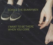 Bunnymen iwanttobethere1.jpg