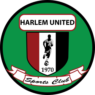 <span class="mw-page-title-main">Harlem United FC</span> Dominican association football club