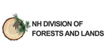 New Hampshire Pembagian Hutan dan Lahan logo.png