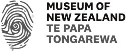 Museum of New Zealand Te Papa Tongarewa things to do in Lyall Bay