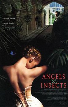 Angels and insects.jpg