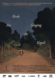 Ptáci zpívají v Kigali poster.jpg