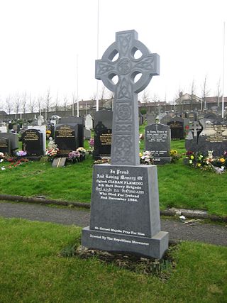 <span class="mw-page-title-main">Kieran Fleming</span> Irish Republican