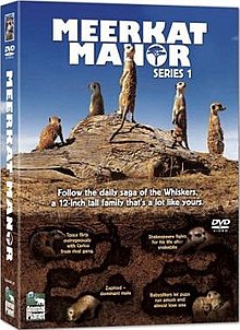 Region 2 (Europe) Official Series 1 DVD cover Meerkatmanorseries1.jpg