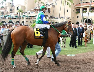 <span class="mw-page-title-main">Perfect Drift</span> American-bred Thoroughbred racehorse