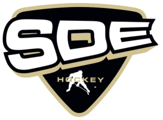 SDE Hockey