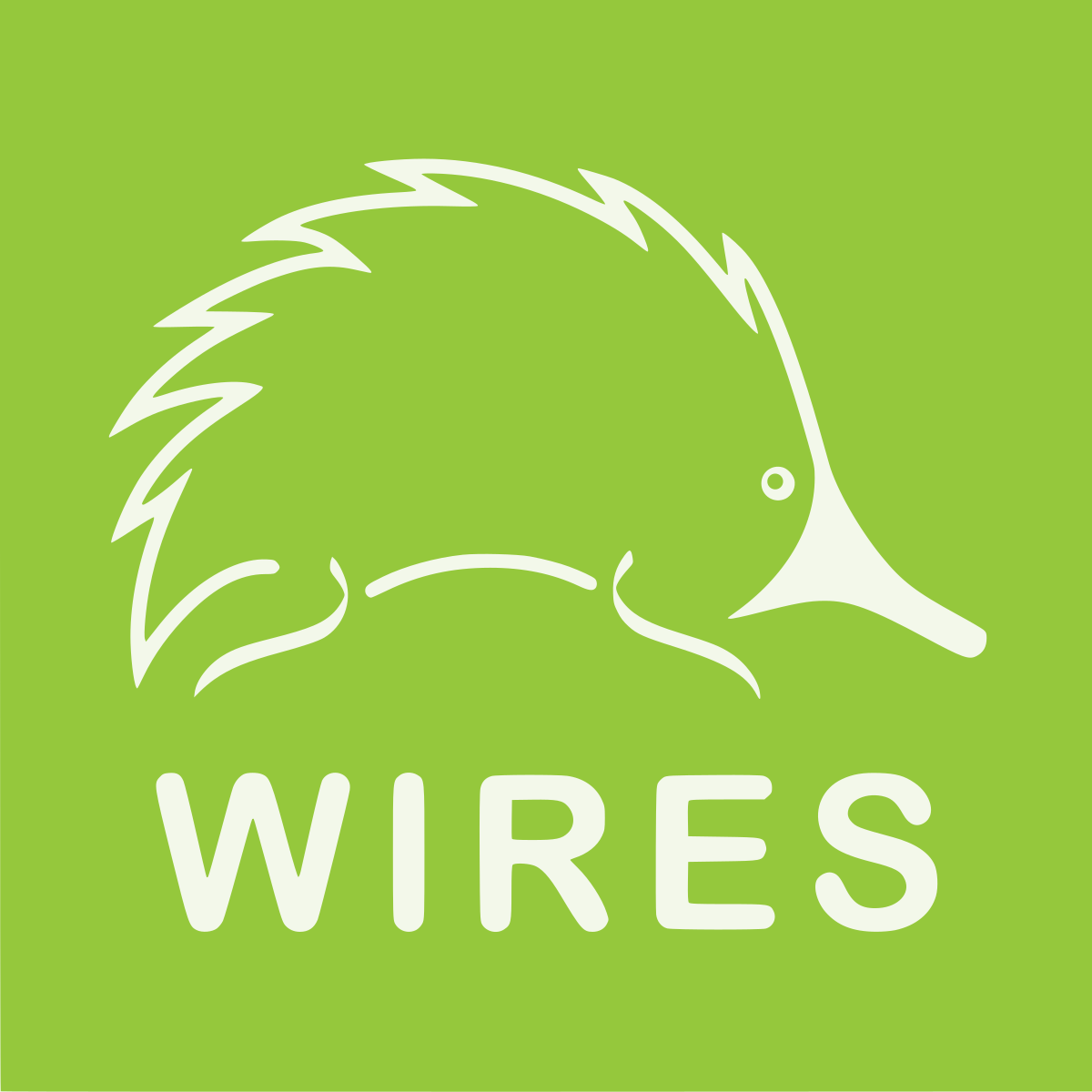 Image result for wires wildlife