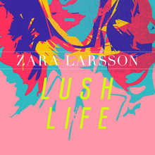 Zaran Larsson - Abunda Life.png