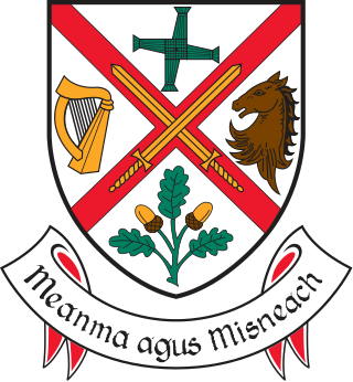 <span class="mw-page-title-main">Kildare County Council</span> Local authority of County Kildare in Ireland