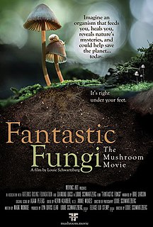 <i>Fantastic Fungi</i> 2019 documentary film