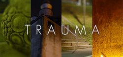 Обложка видеоигры Trauma.jpg