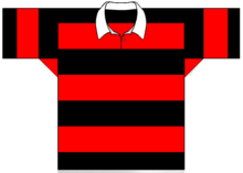 Wests' traditional jersey Wests Panthers traditional jersesy.PNG