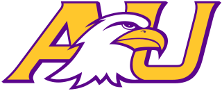 <span class="mw-page-title-main">Ashland Eagles</span> College sport team in Ohio