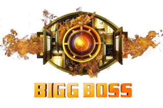 <i>Bigg Boss</i> (Hindi season 17) Indian reality show