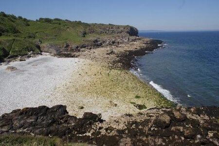 Fedw Fawr Coast