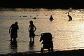 Bathers at Guelph Lake