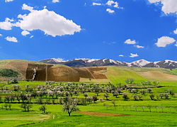 Hills southwest of Sanandaj near the village of Kilaneh, Kurdistan Province, Iran